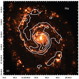 M51 Halpha