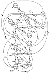 PDR C network