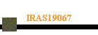IRAS 19067