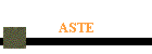 ASTE