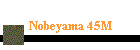 Nobeyama 45M